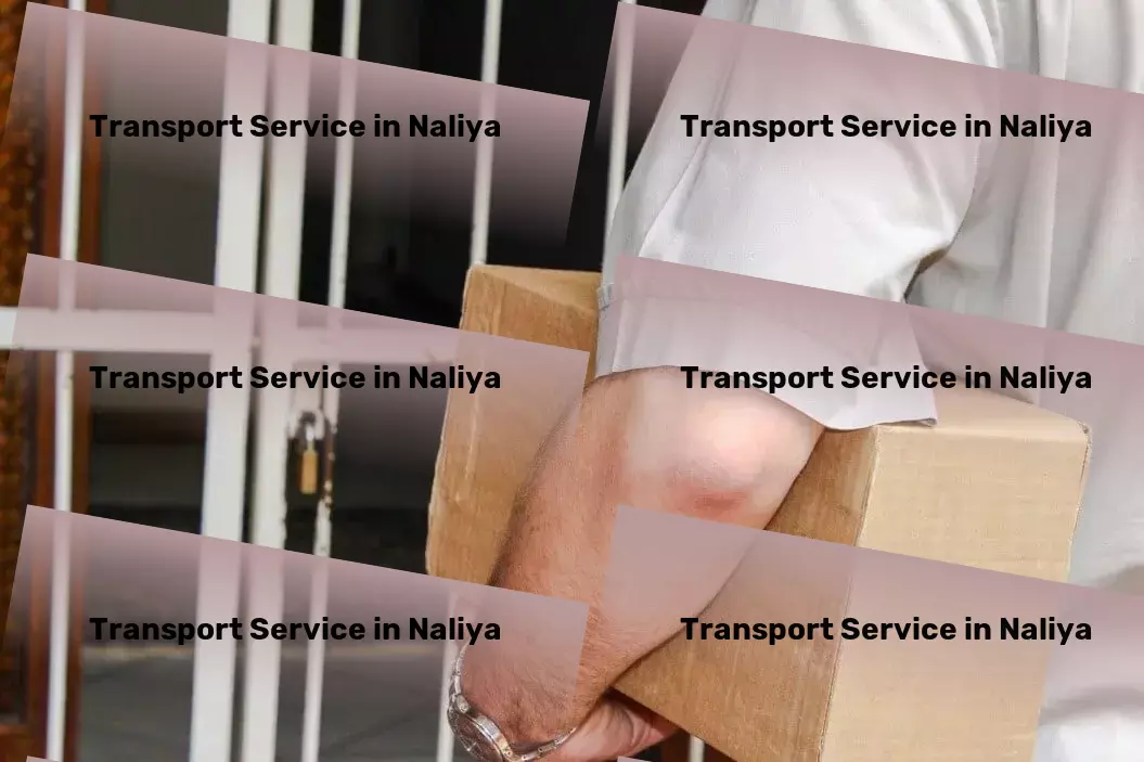 Luggage Courier in Naliya, Gujarat (GJ) Affordable transport services