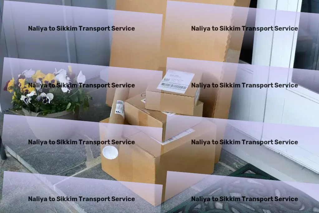 Naliya to Sikkim Bike Transport And Scooty Courier Freight brokerage services