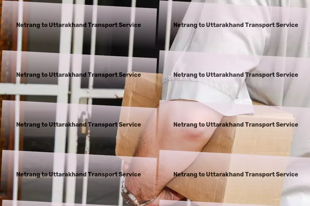 Netrang to Uttarakhand Transport Rapid cargo forwarding