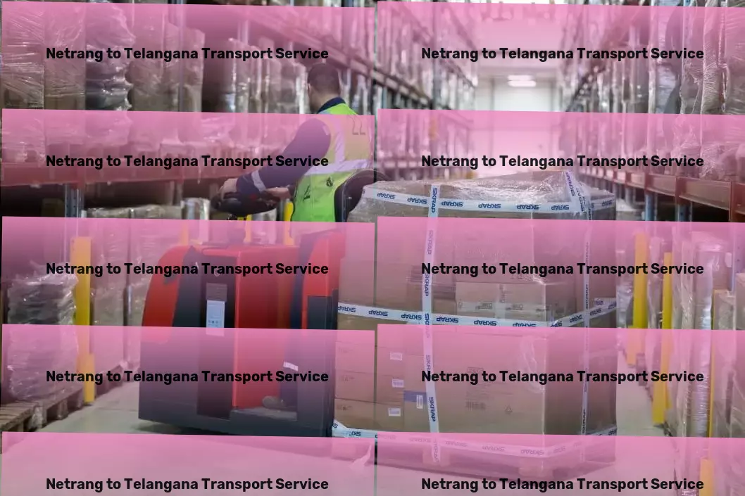 Netrang to Telangana Household Goods Transport Professional freight booking