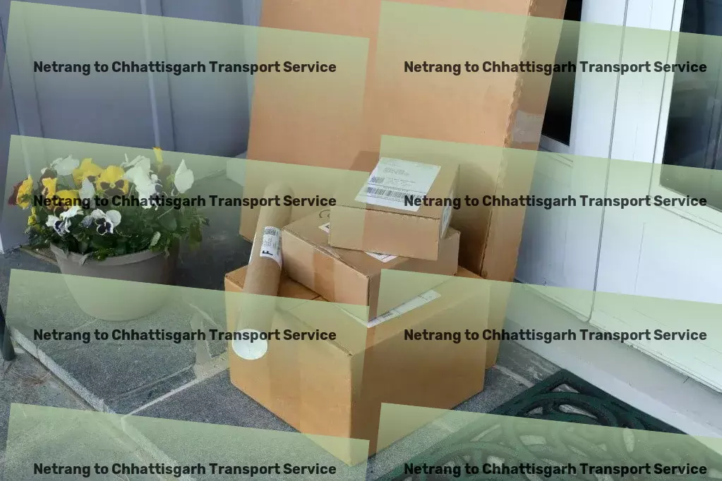 Netrang to Chhattisgarh Household Goods Transport Where technology meets efficiency in logistics! - Efficient package logistics