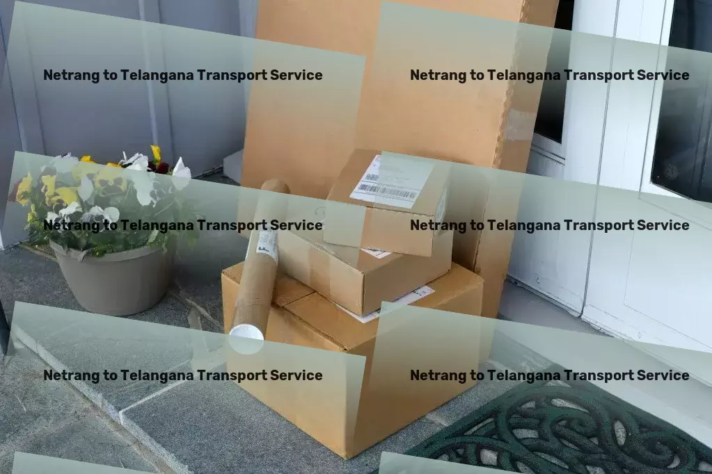 Netrang to Telangana Household Goods Transport Making every delivery count in the vast landscape of India! - Professional moving services